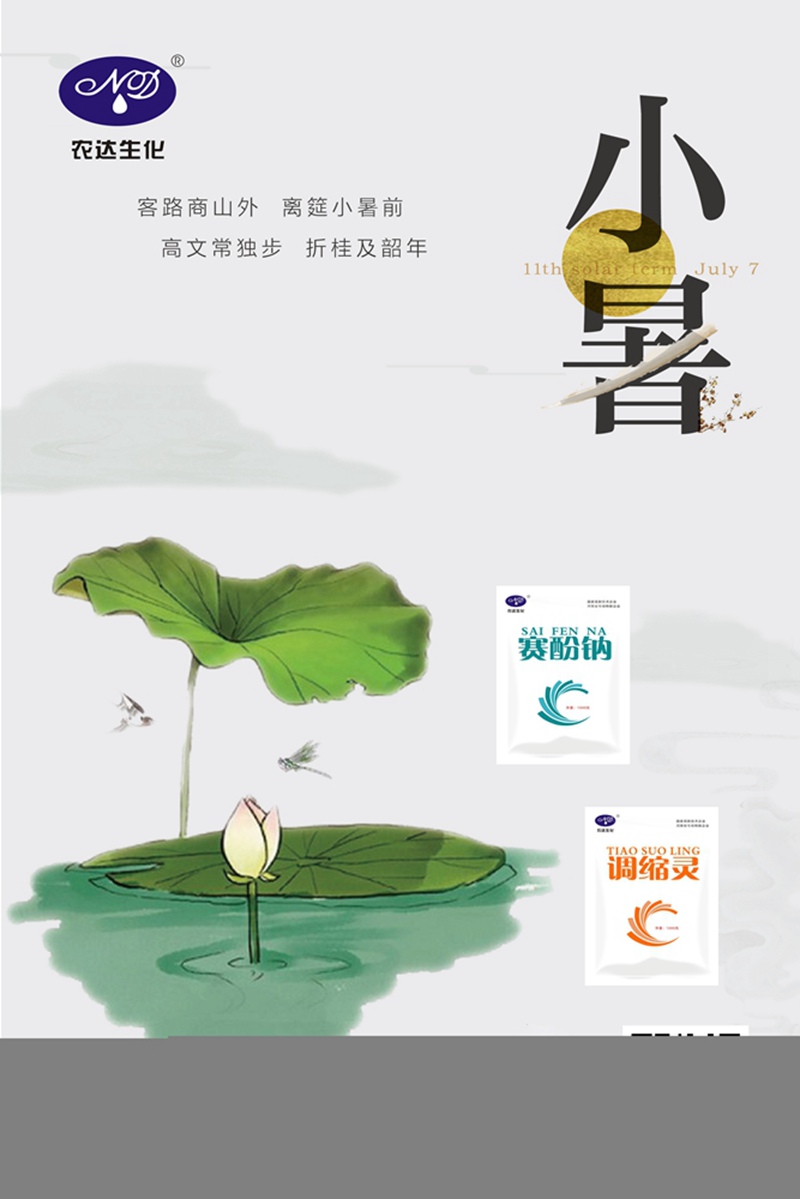 溫風至，小暑來。(圖1)